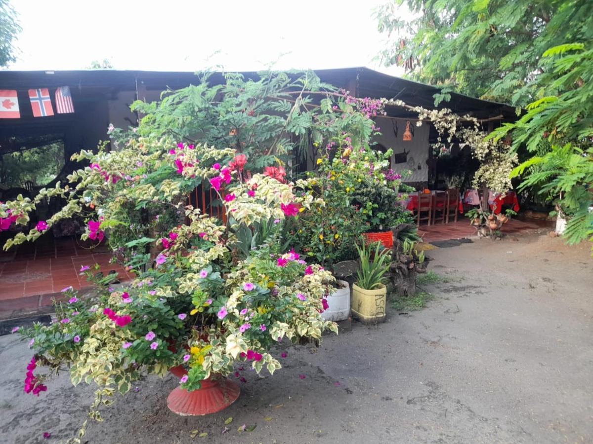Alojamiento Casa De Campo Los Cactus 비야비에하 외부 사진