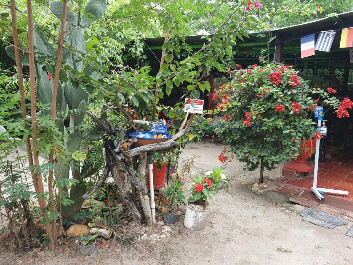 Alojamiento Casa De Campo Los Cactus 비야비에하 외부 사진
