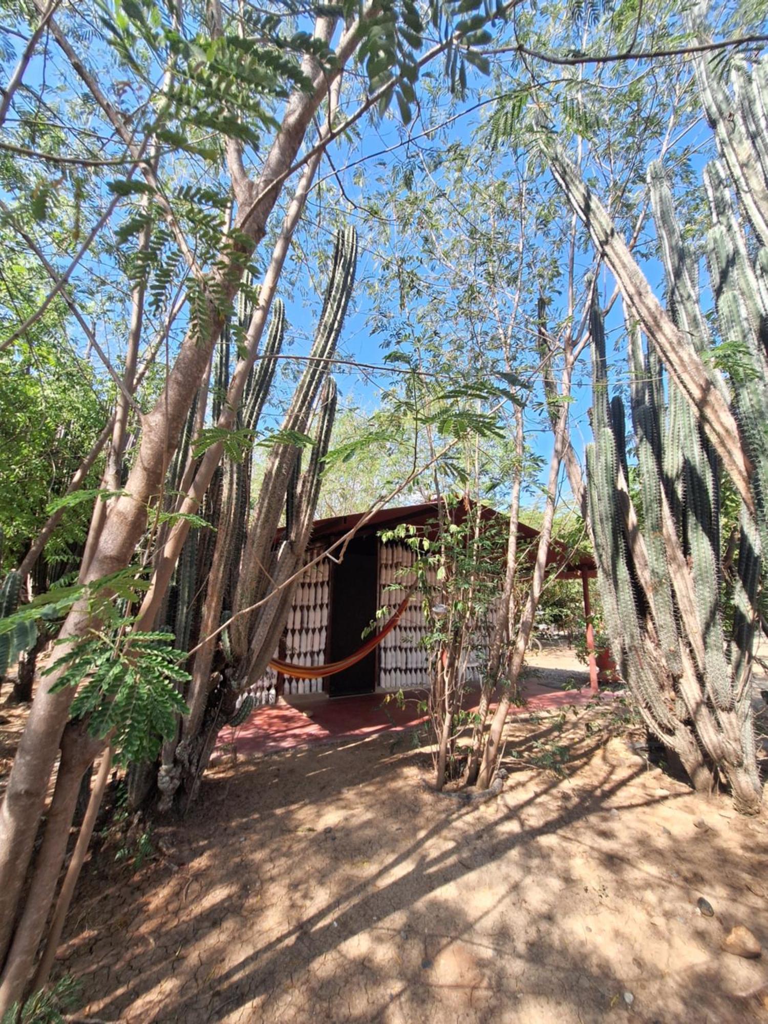 Alojamiento Casa De Campo Los Cactus 비야비에하 외부 사진