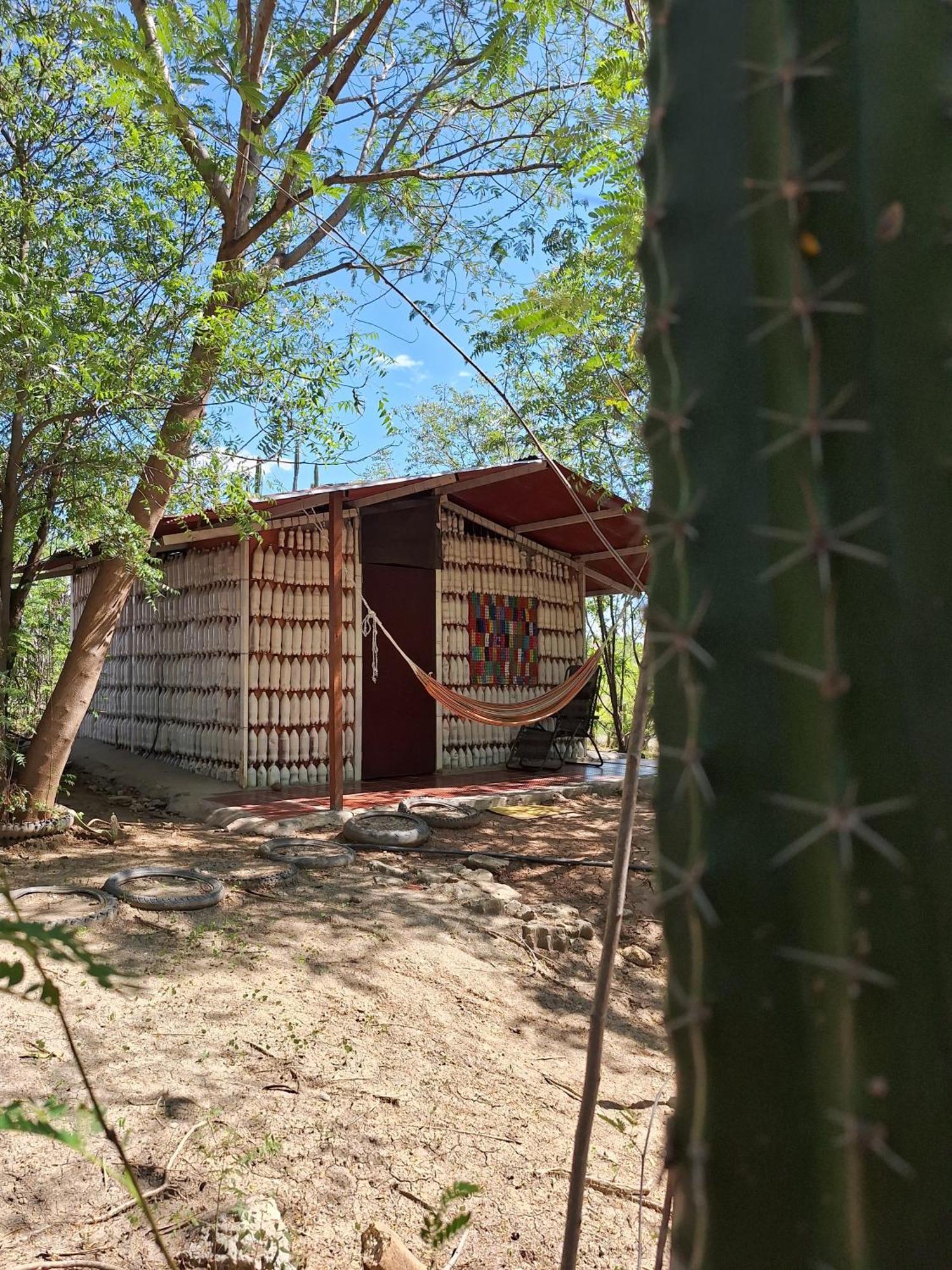 Alojamiento Casa De Campo Los Cactus 비야비에하 외부 사진