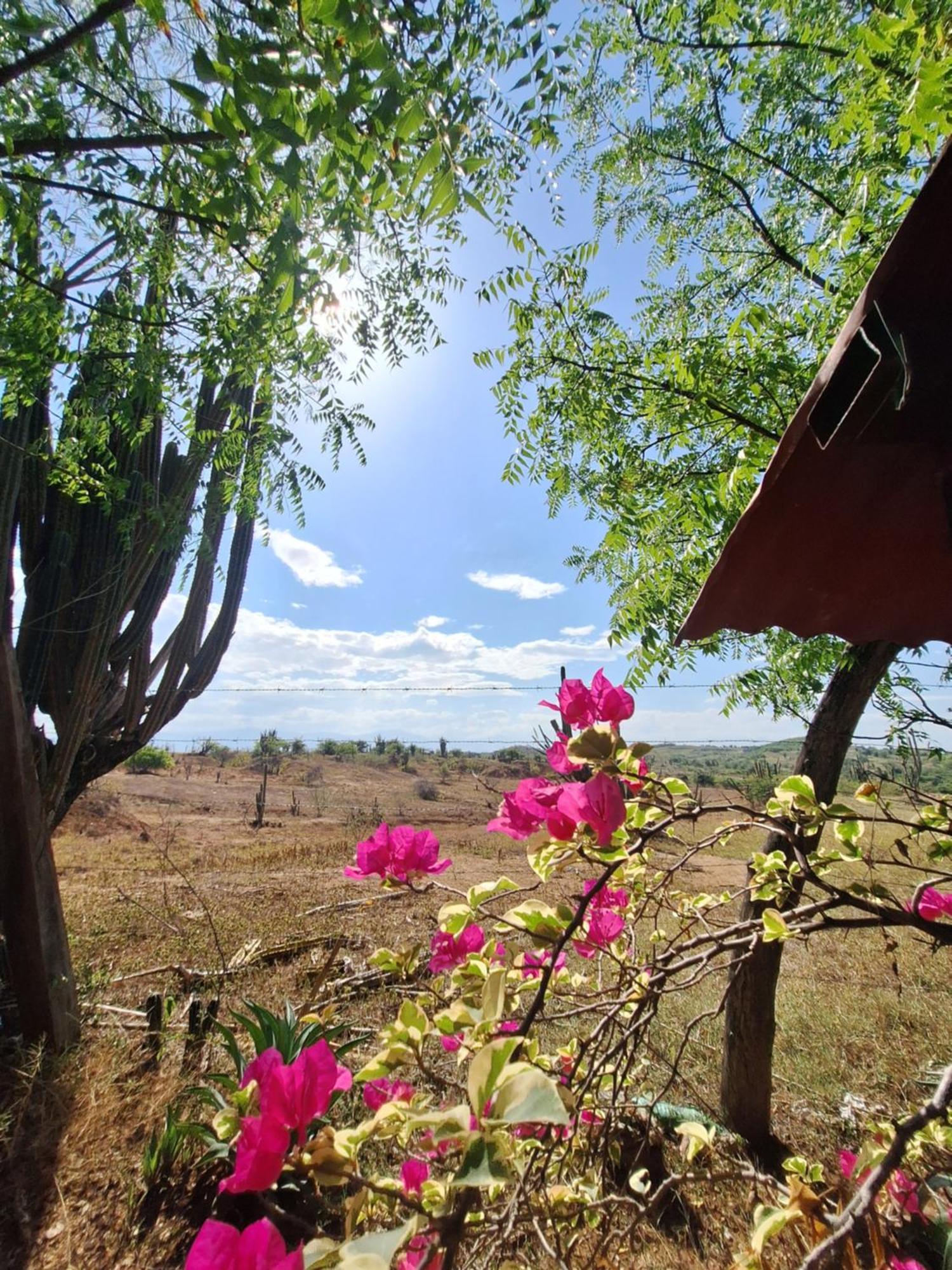 Alojamiento Casa De Campo Los Cactus 비야비에하 외부 사진