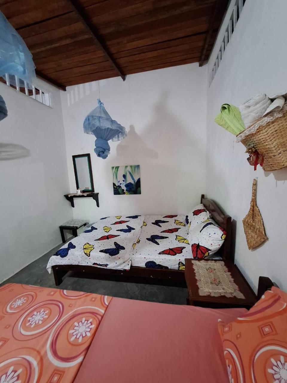 Alojamiento Casa De Campo Los Cactus 비야비에하 외부 사진