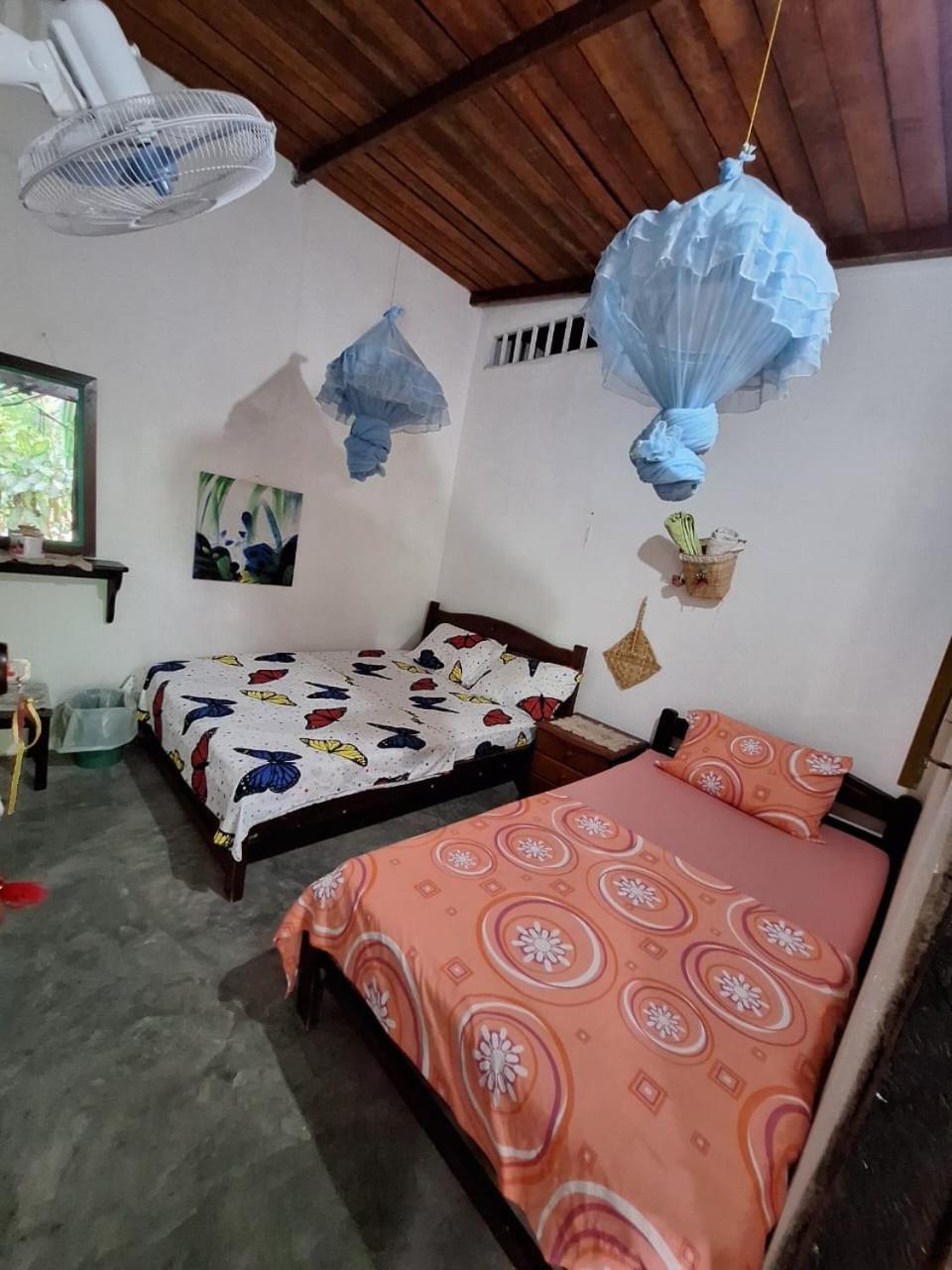Alojamiento Casa De Campo Los Cactus 비야비에하 외부 사진