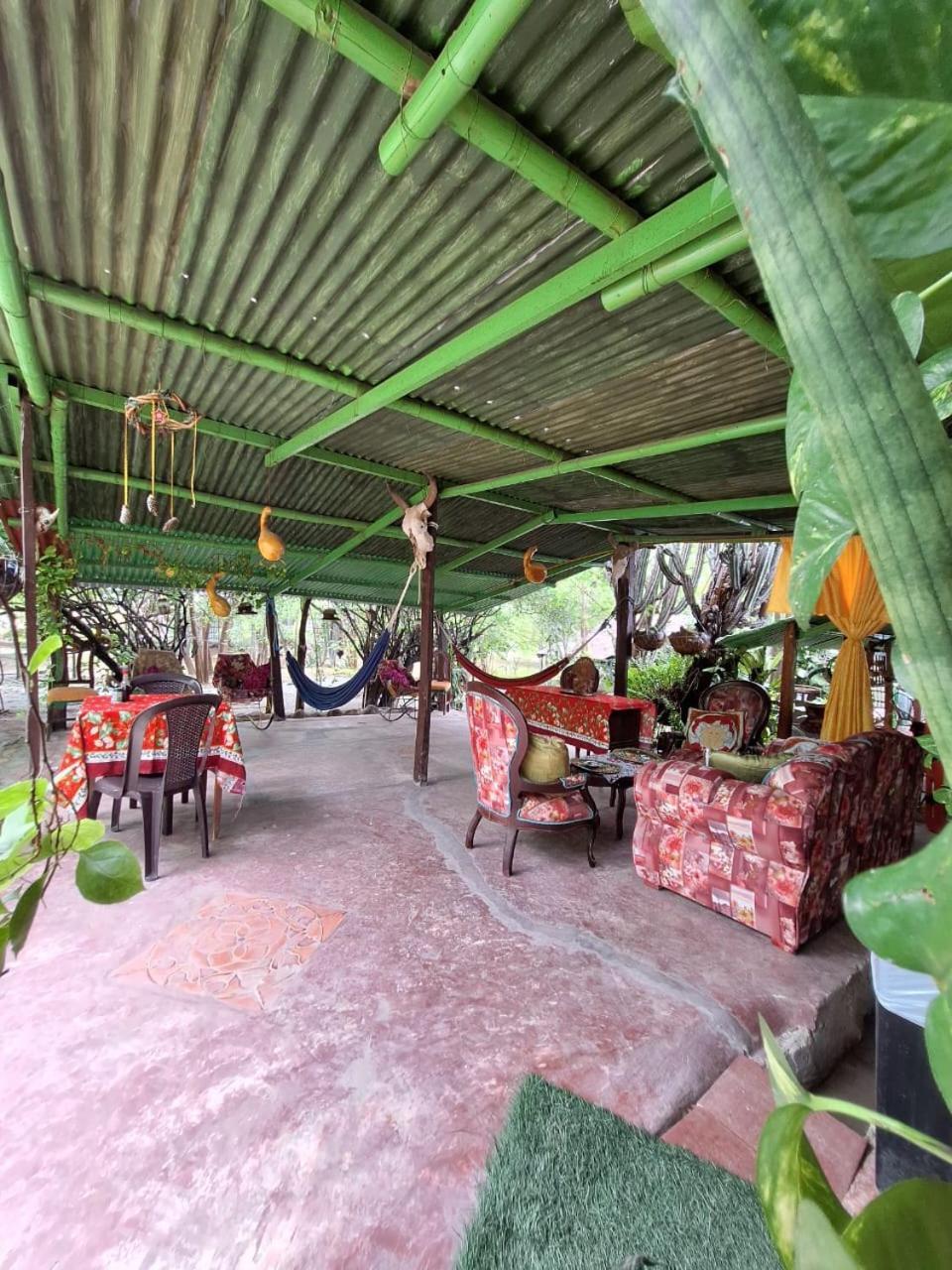 Alojamiento Casa De Campo Los Cactus 비야비에하 외부 사진