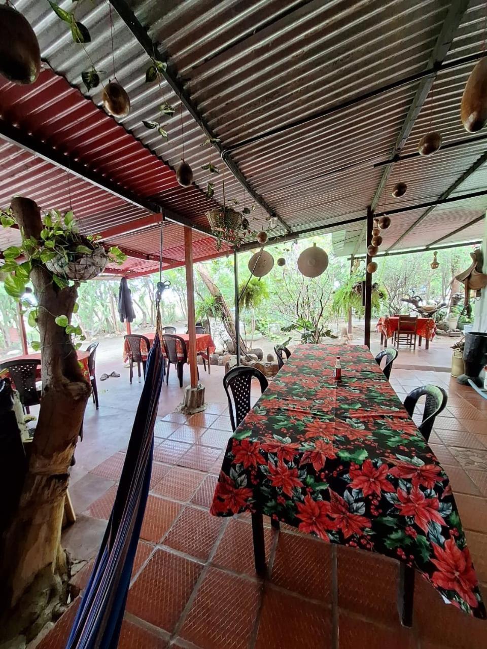 Alojamiento Casa De Campo Los Cactus 비야비에하 외부 사진