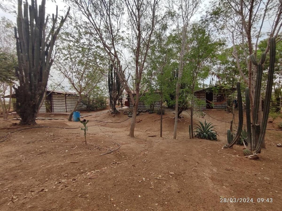 Alojamiento Casa De Campo Los Cactus 비야비에하 외부 사진