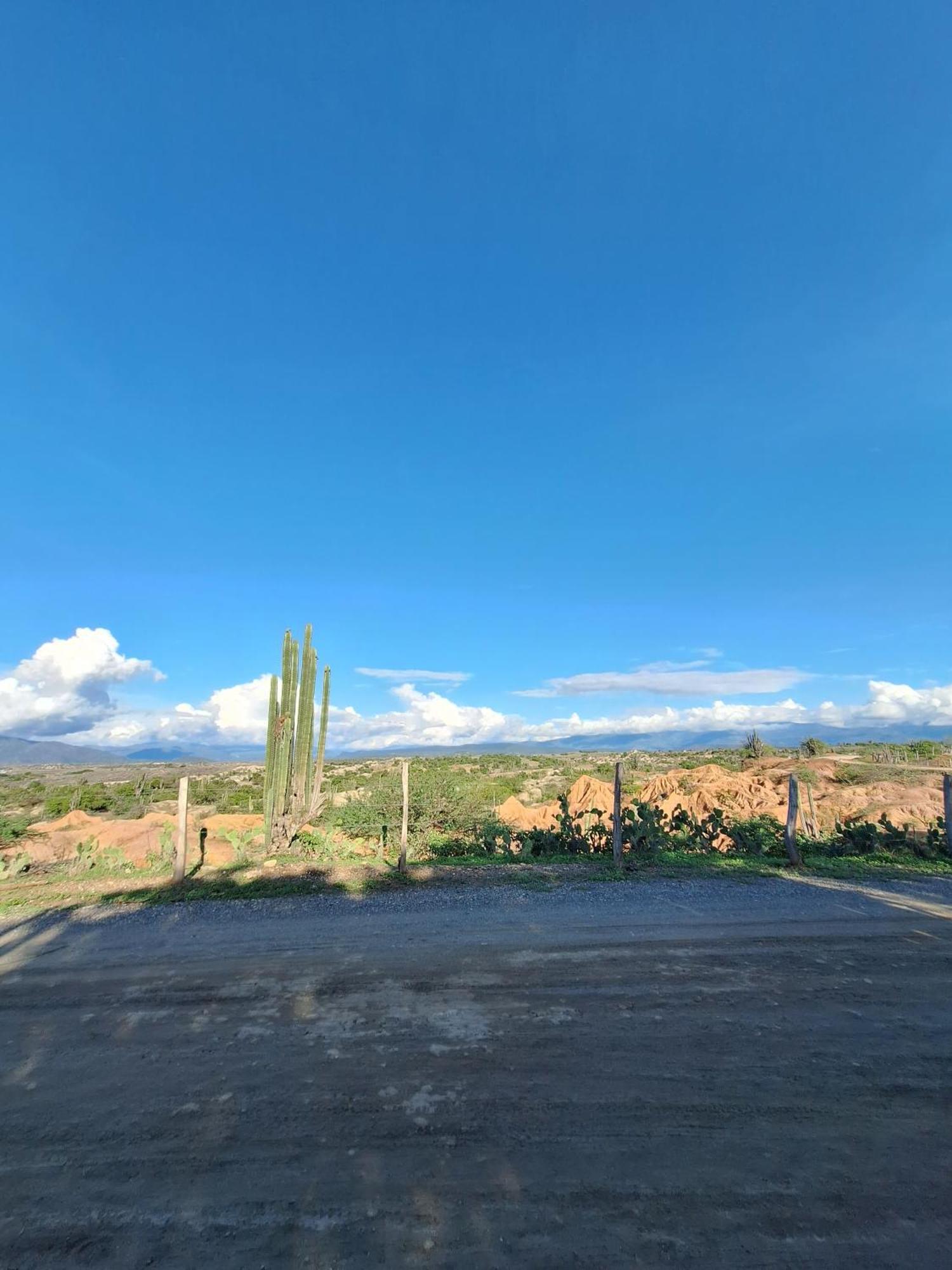 Alojamiento Casa De Campo Los Cactus 비야비에하 외부 사진