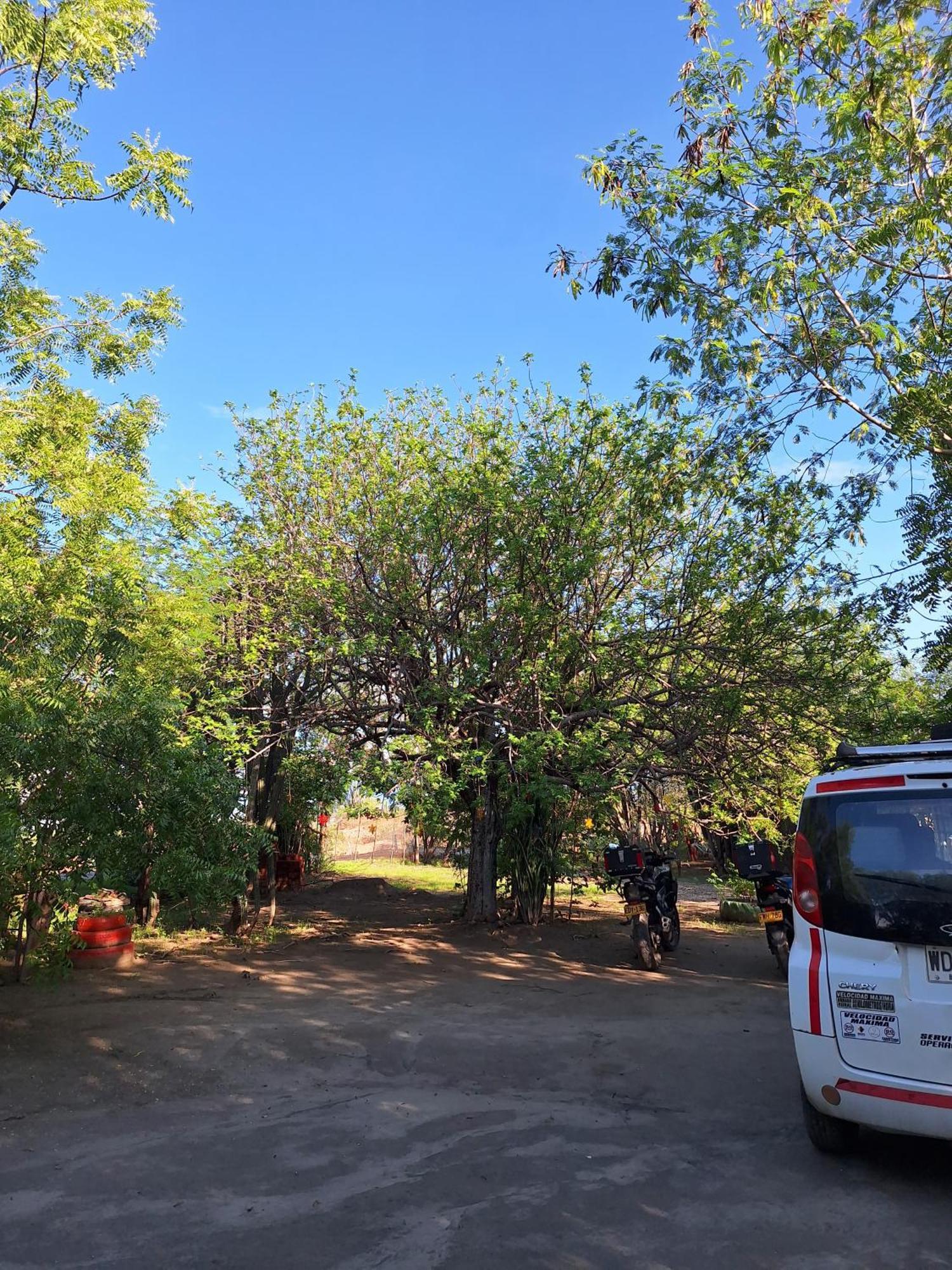 Alojamiento Casa De Campo Los Cactus 비야비에하 외부 사진
