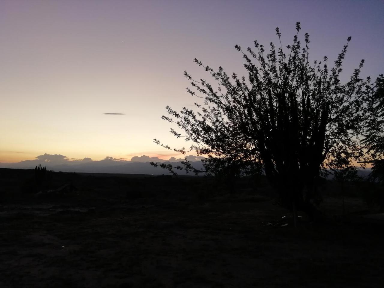 Alojamiento Casa De Campo Los Cactus 비야비에하 외부 사진