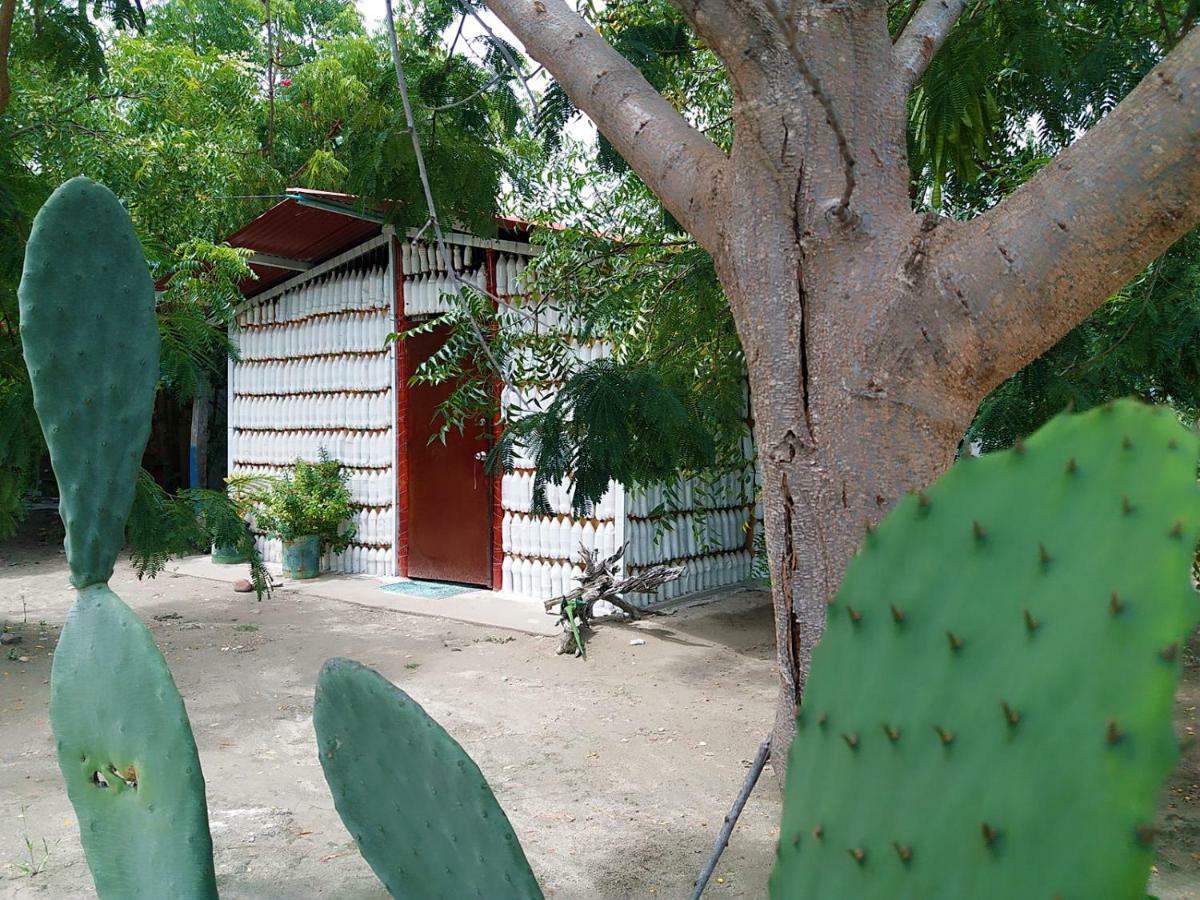 Alojamiento Casa De Campo Los Cactus 비야비에하 외부 사진
